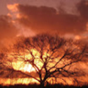 Meet your Posher, Elizabeth anne